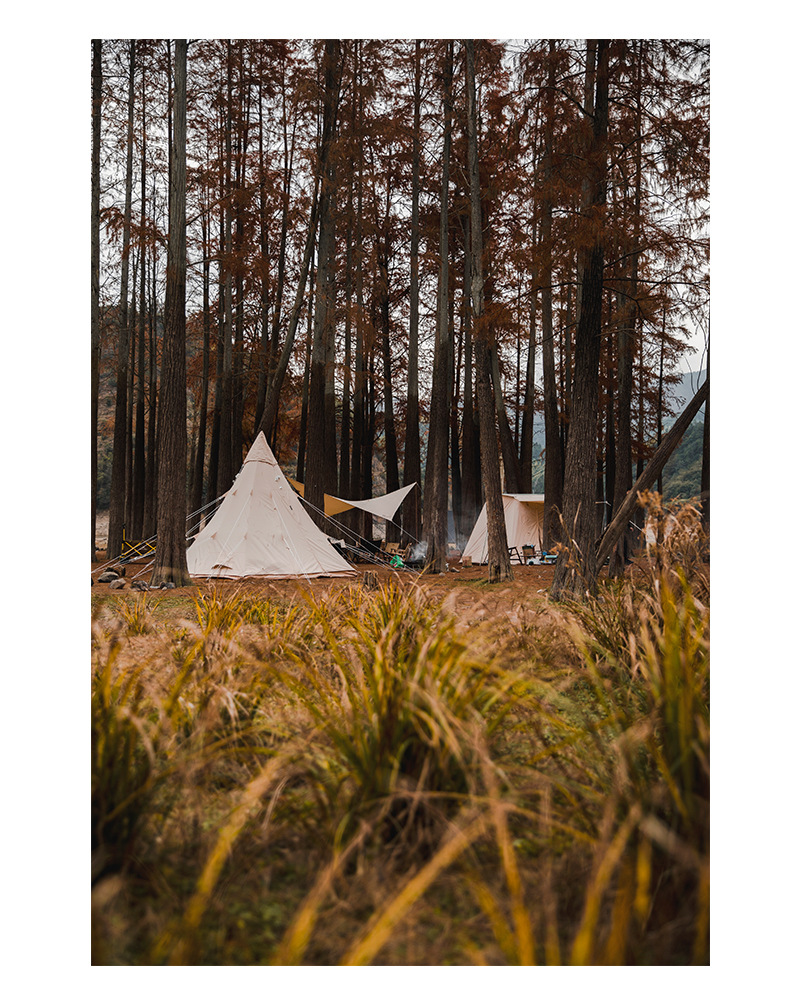 Cheap Goat Tents 5